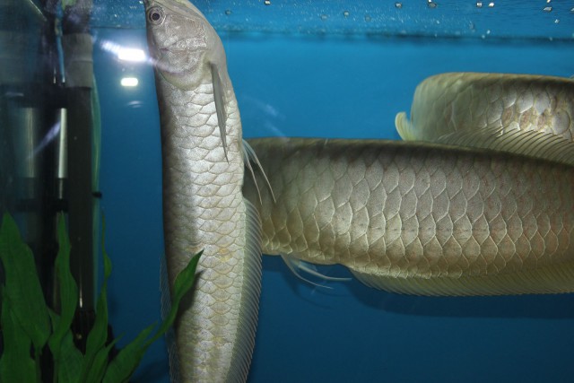 Отчёт о поездке в Крым 12.07 - 29.07