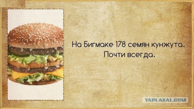 Факты в картинках