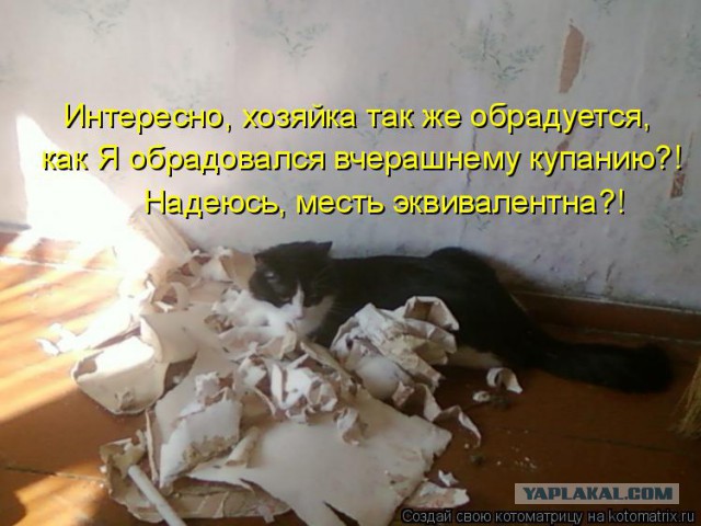 Мой мини зверинец