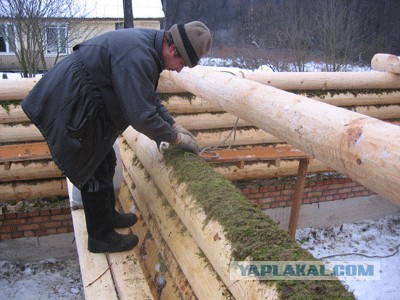 Баня из профилированного бруса своими руками