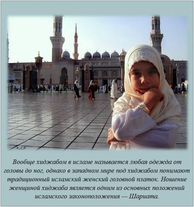 20 фактов обо всем