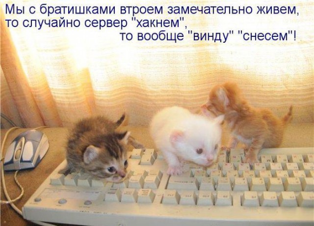 Весёлые картинки