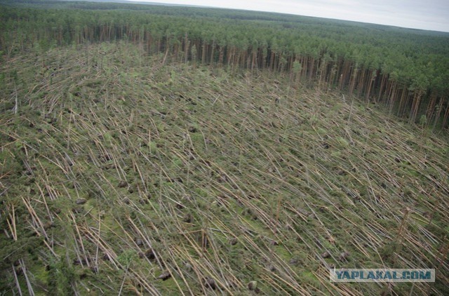 Неведомую хрень нашли под Челябинском