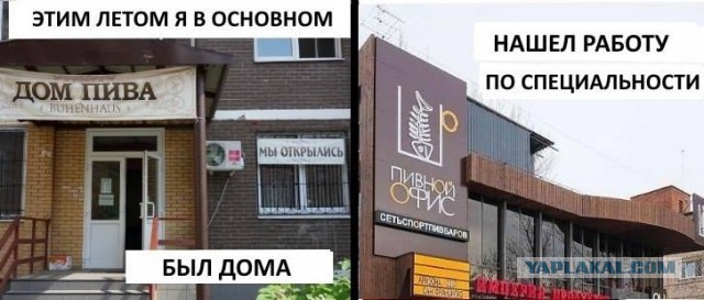 Как я провёл лето