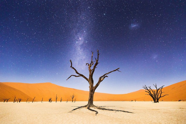 Лучшие фотографии National Geographic 2015