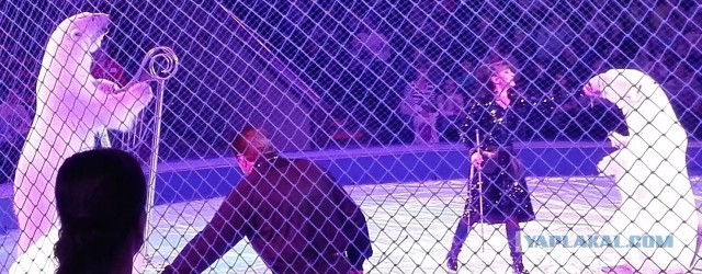 Секретная жизнь оркестра. Оркестр, каким вы его еще не видели