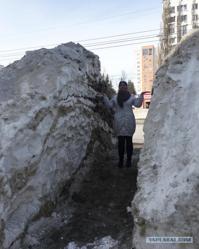 Уфимцы потребовали, чтобы мэр города съел снег