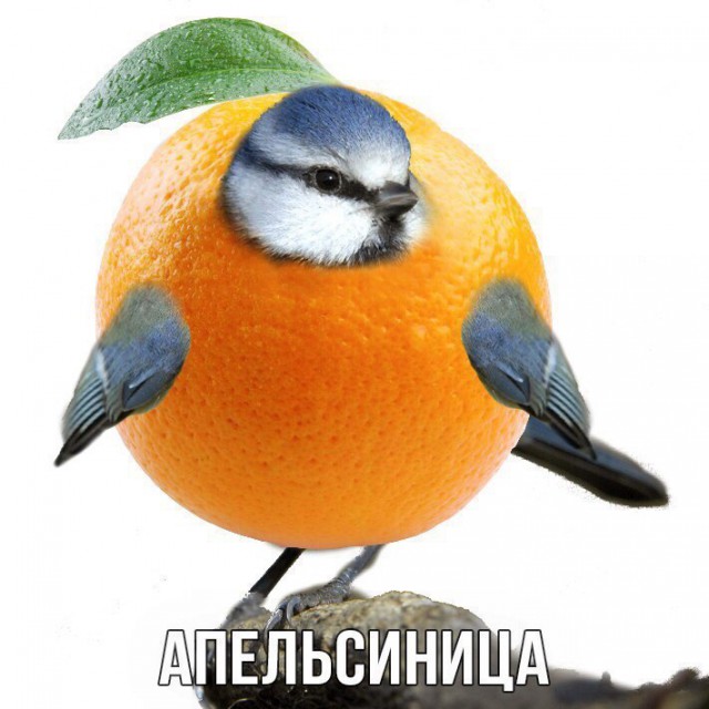 Шлакоблокунь и друзья