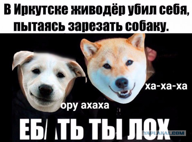 Ударная доза тупежа и деградации
