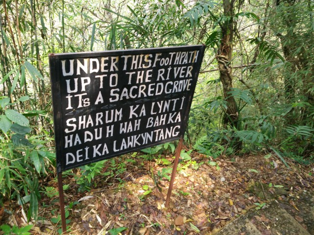 К живым мостам и обратно. Заметки из Индии