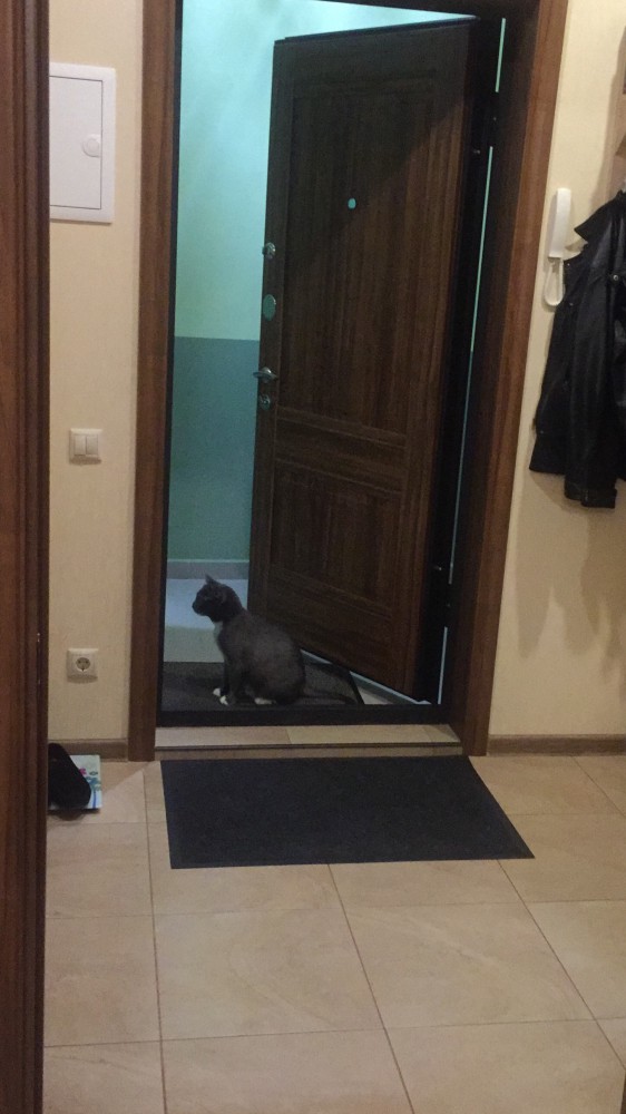Если я не ошибаюсь, оно открывается как-то так...
