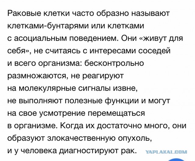 Узбекистан прислал России самолет с гуманитарной помощью