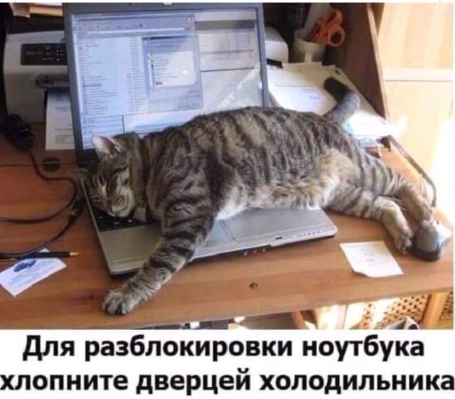 Немного картинок для настроения 05.05.20