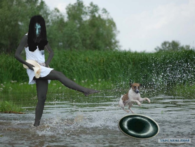 Фотожаба: Волшебный пендаль