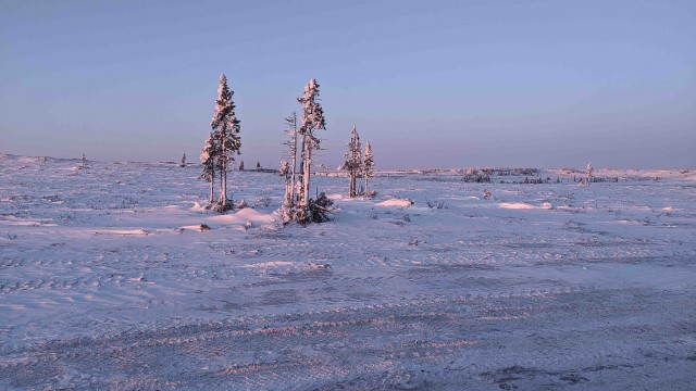Заполярье из кабины грузовика