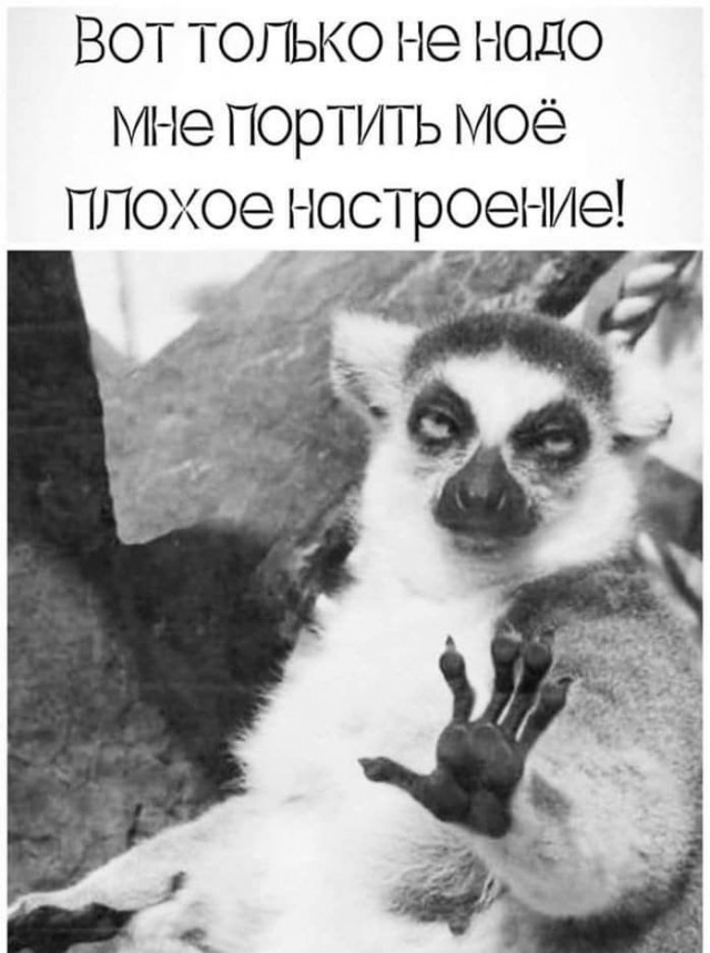 Алкопост 8.10.21