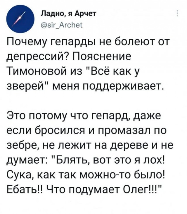 Картинки и мемы, всем хороших выходных