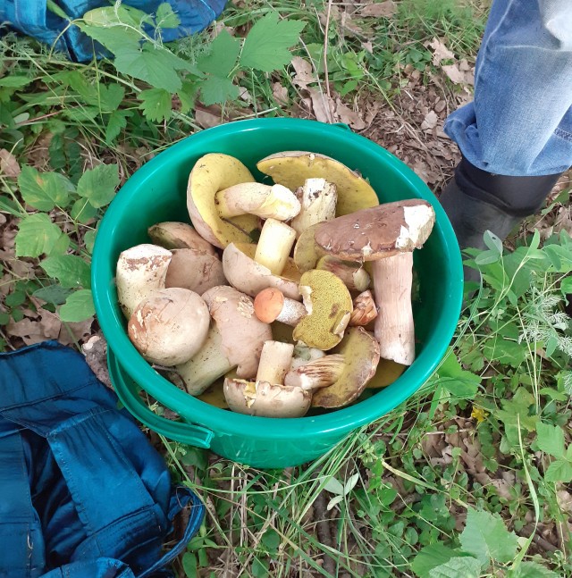 Просто любительские фото