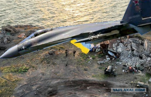 ВКС России нанесли удар по фотографировавшимся с флагом на Змеином военным Украины