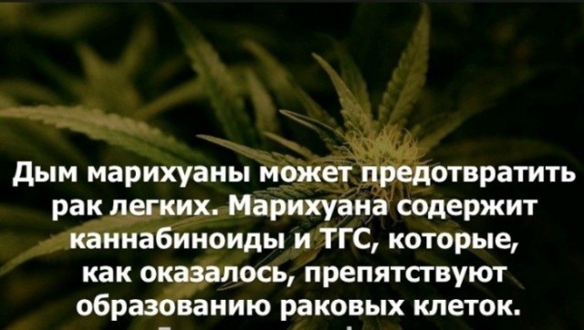 Прикольные и просто красивые картинки 15.07.2022