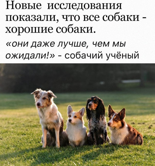 Картинки и мемы, всем хороших выходных