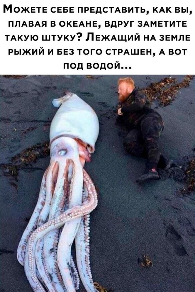 Немного позитива на утро 26.10.2022
