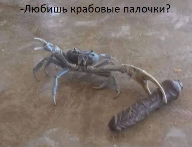 Чёрно-пошлая деградация