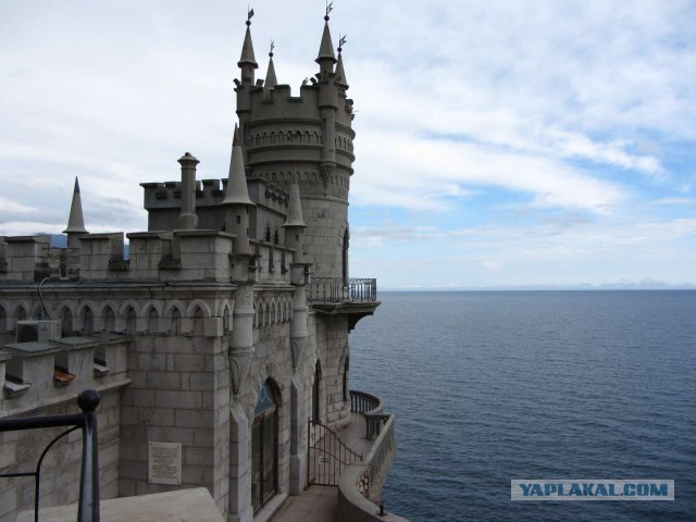 Крым в феврале или "Не стреляйте в белых лебедей!"