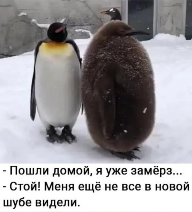Так себе картинки 16.06.23