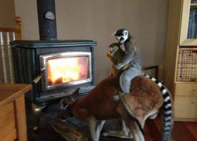 Подборка интересных и веселых картинок