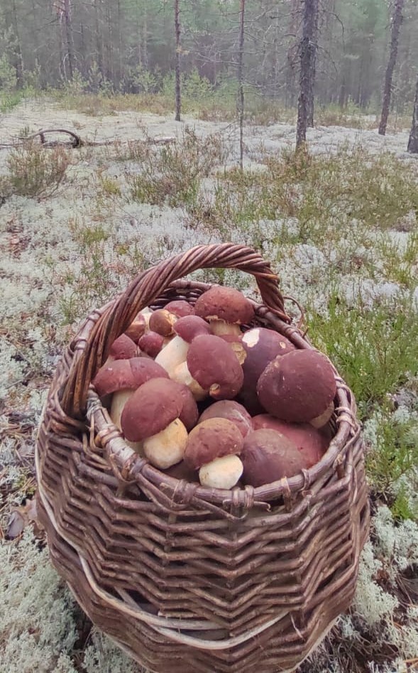 А такое вы видели?