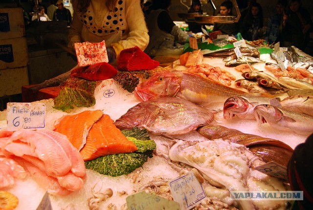 Рынок Бокерия