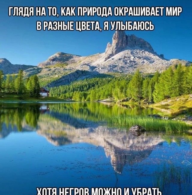 Чернушка бегала и выписывала белым мужикам оплеухи