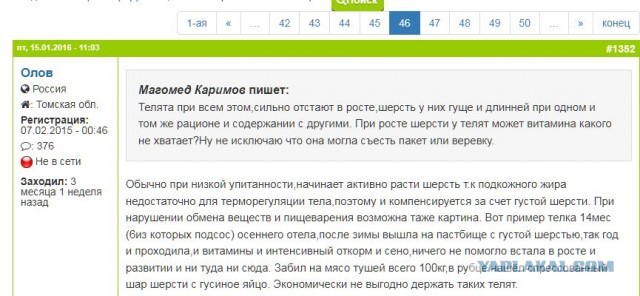 Веселая ферма: выращиваем себе корову сами