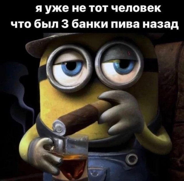 Приколы с налетом деградации