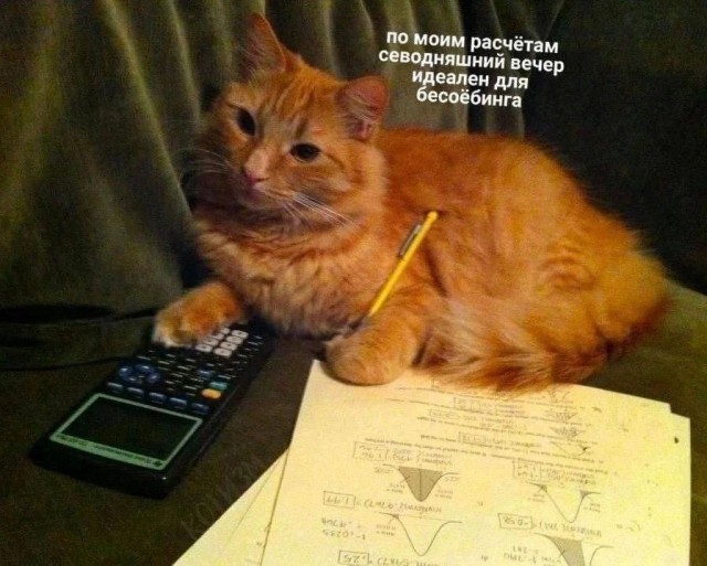 Всякая всячина