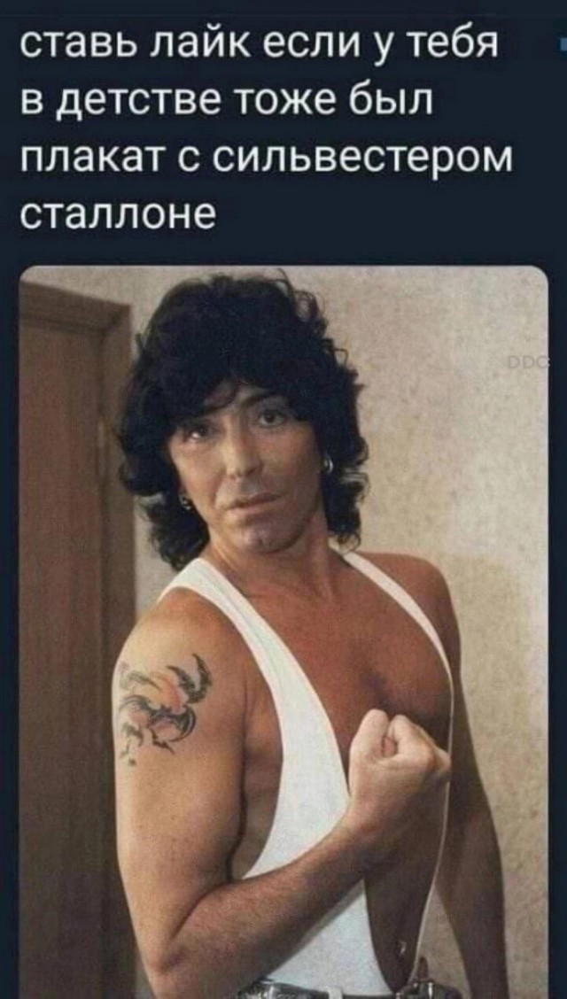 Нуштош 26.06.2024