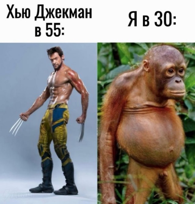 Веселые картинки к пятнице (23.08)