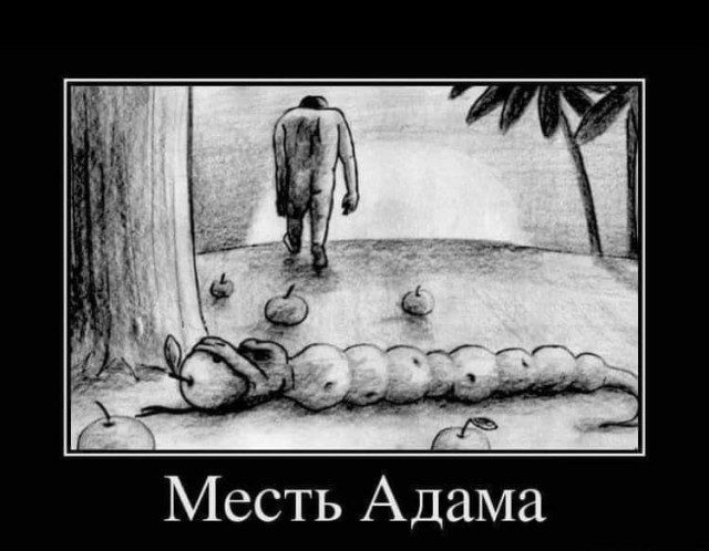 Завалялось тут случайно немного забавных картинок