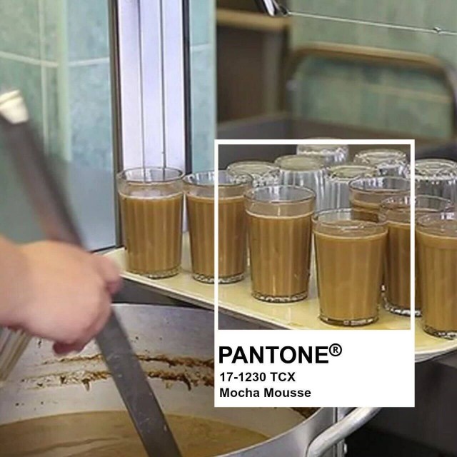 Pantone объявил главный оттенок будущего года — им стал Mocha Mousse