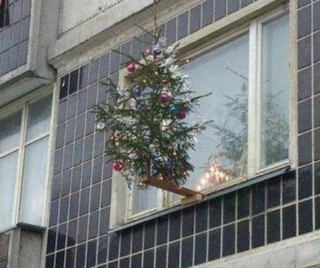 Нуштош 07.01.2025. Межпраздничный спецвыпуск