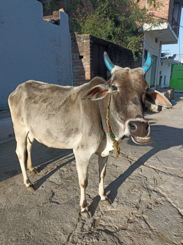 Бутан, таинственный Бутан