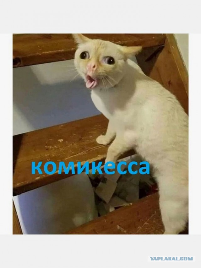 Ольга Картункова придумала новый тренд