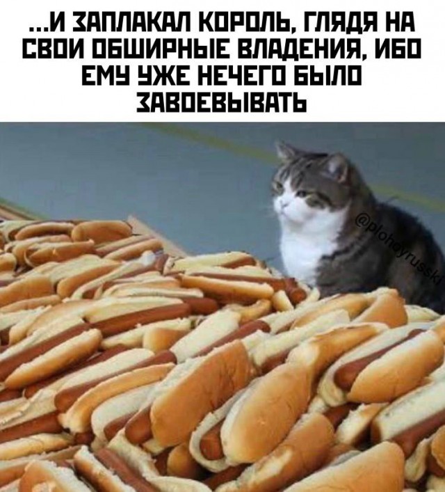 Весёлый полтишок 24.04.25