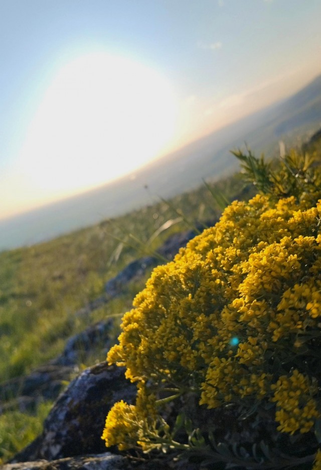 Литболталка