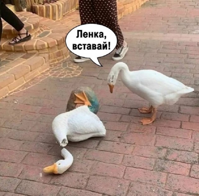 Так себе картинки 11.07.25