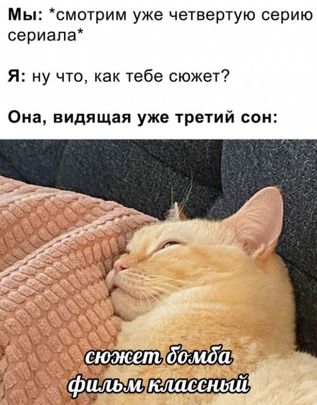 Веселые картинки в маленькую пятницу (10.09)