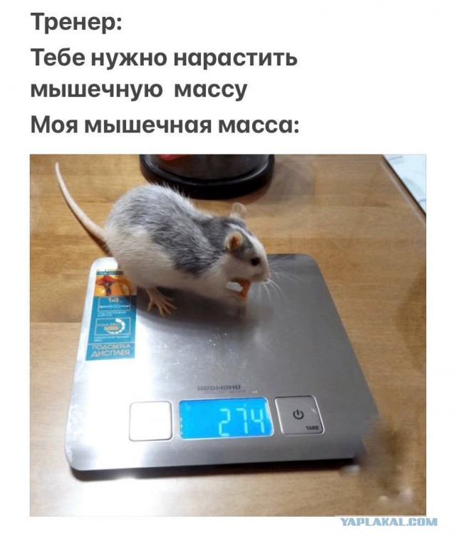 Когда не получилось похудеть