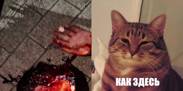 "Кто тебе разрешил пить, мусульманин?..."