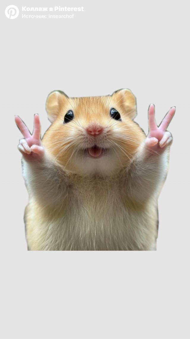 Пятница . Картинки